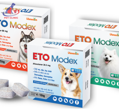 Vemedim ETO Modex - Diệt ve, rận, bọ chét, điều trị viêm da do Demodex, Sarcoptes cho chó