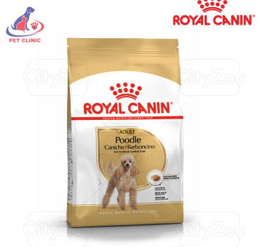 ROYAL CANIN POODLE ADULT