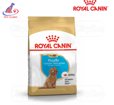 ROYAL CANIN POODLE PUPPY